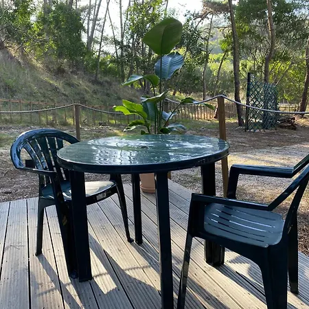 Dome - Colares, Near The Center Of Sintra Luxury tent Colares